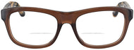 Chocolate Brown #2