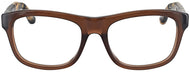 Chocolate Brown #2