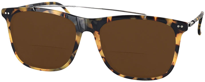 Square Havana Ruthenium Carrera 150S Bifocal Reading Sunglasses View #1