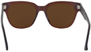 Wayfarer Matte Brown Chloe Progressive No Line Reading Sunglasses View #4