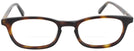 Oval Tortoise Lerner Bifocal View #2