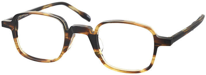 Square Tortoise Walter Progressive No-Lines View #1