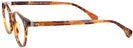 Round Light Tortoise Virginia Bifocal View #3