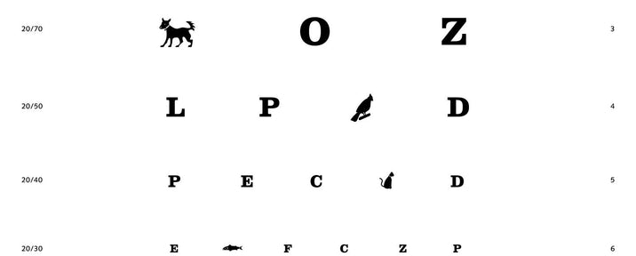  Eye Chart Micro-Fiber Cloth X-Large View #1