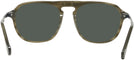 Square Olive Horn/black Canali CO219A Progressive No Line Reading Sunglasses View #4