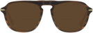 Square Brown Horn/gold Canali CO219A Bifocal Reading Sunglasses View #2