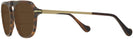 Square Brown Horn/gold Canali CO219A Bifocal Reading Sunglasses View #3