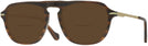 Square Brown Horn/gold Canali CO219A Bifocal Reading Sunglasses View #1