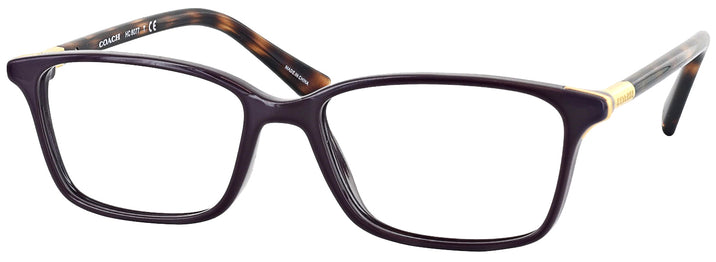   Coach 6077 Progressive No Line Bifocal View #1
