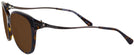 Oversized,Cat Eye Dark Tortoise Coach 8218 Bifocal Reading Sunglasses View #3