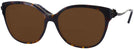 Oversized,Cat Eye Dark Tortoise Coach 8218 Bifocal Reading Sunglasses View #1