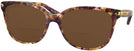 Square Confetti Light Brown Coach 8132 Bifocal Reading Sunglasses View #1