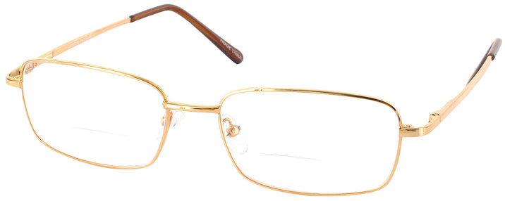   Eurospec 41 Bifocal View #1