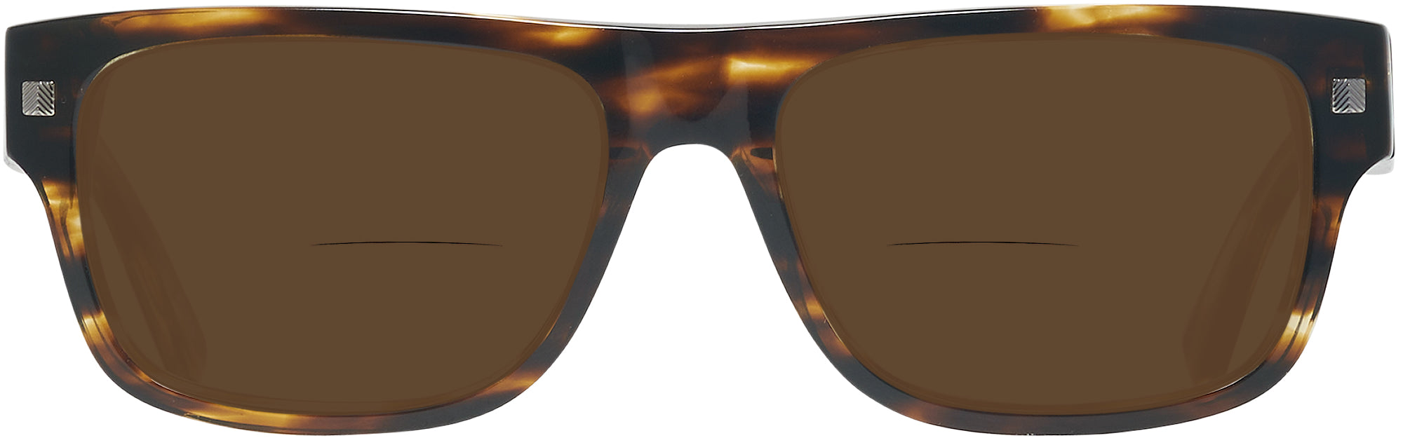 ZEGNA EZ0099 Bifocal Reading Sunglasses – ReadingGlasses.com