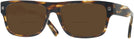 Rectangle Tortoise Zegna EZ0088 Bifocal Reading Sunglasses View #1