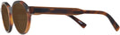 Round Tortoise Zegna EZ0100 Bifocal Reading Sunglasses View #3