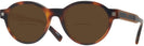 Round Tortoise Zegna EZ0100 Bifocal Reading Sunglasses View #1