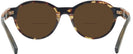 Round Honey Tortoise Zegna EZ0100 Bifocal Reading Sunglasses View #4