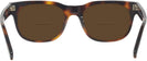 Square Tortoise Zegna EZ0101 Bifocal Reading Sunglasses View #4