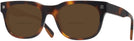 Square Tortoise Zegna EZ0101 Bifocal Reading Sunglasses View #1
