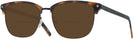 Square Tortoise/black Zegna EZ0143-D Bifocal Reading Sunglasses View #1