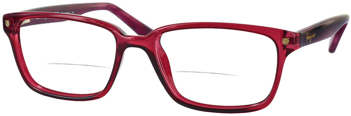   Ferragamo 2733 Bifocal View #1