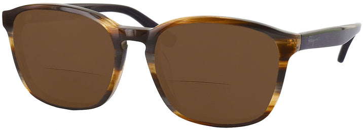   Ferragamo 2739 Bifocal Reading Sunglasses View #1