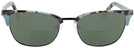 ClubMaster Blue Tortoise Goo Goo Eyes 897 Bifocal Reading Sunglasses View #2
