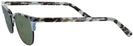 ClubMaster Blue Tortoise Goo Goo Eyes 897 Bifocal Reading Sunglasses View #3