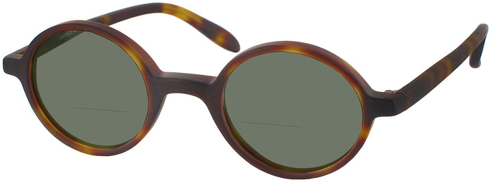   Oxford GGE 302 (Narrow Fit) Bifocal Reading Sunglasses View #1