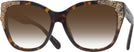 Oversized,Square Dark Tortoise Coach 8244 Sunglasses View #1