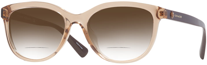 Square Transparent Amber Coach 8285U Bifocal Reading Sunglasses with Gradient View #1