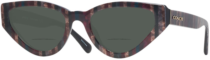Cat Eye Legacy Stripes Coach 8319 Bifocal Reading Sunglasses View #1