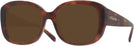 Butterfly Caramel Tortoise Coach 8363U Progressive No Line Reading Sunglasses View #1