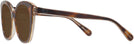 Cat Eye Tortoise/transparent Beige Coach 8365U Bifocal Reading Sunglasses View #3