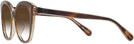 Cat Eye Tortoise/transparent Beige Coach 8365U w/ Gradient Bifocal Reading Sunglasses View #3