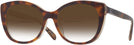 Cat Eye Tortoise/transparent Beige Coach 8365U w/ Gradient Bifocal Reading Sunglasses View #1