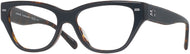 Black/dark Tortoise #1