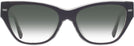 Cat Eye Black/transparent Grey Coach 8370U Sunglasses View #2