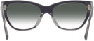 Cat Eye Black/transparent Grey Coach 8370U Sunglasses View #4