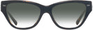 Cat Eye Black/dark Tortoise Coach 8370U Sunglasses View #2