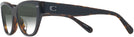 Cat Eye Black/dark Tortoise Coach 8370U w/ Gradient Bifocal Reading Sunglasses View #3