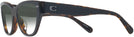 Cat Eye Black/dark Tortoise Coach 8370U w/ Gradient Progressive No Line Reading Sunglasses View #3