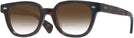 Square Classic Tortoise Kala 8mm w/ Gradient Bifocal Reading Sunglasses View #1