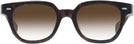 Square Classic Tortoise Kala 8mm w/ Gradient Progressive No-Line Reading Sunglasses View #2