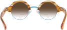 Round Sunset Tortoise With Blue Kala Omega w/ Gradient Bifocal Reading Sunglasses View #4