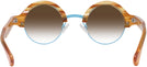 Round Sunset Tortoise With Blue Kala Omega w/ Gradient Progressive No-Line Reading Sunglasses View #4