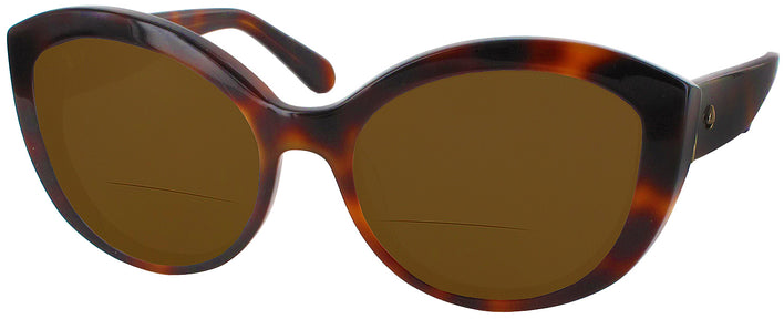  Kate Spade Sherrie S Bifocal Reading Sunglasses View #1