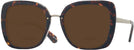 Square Havana Kate Spade Kimora-G-S Bifocal Reading Sunglasses View #1