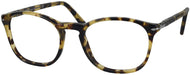 Brown/beige Tortoise #1